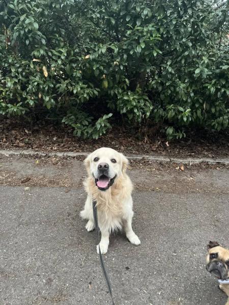 4864181867051793485086767841769234177403385n