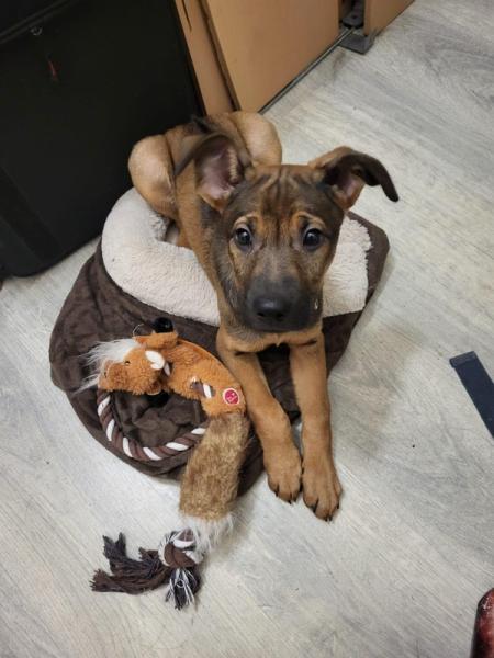 4872053047037704053162371372797453377717043n