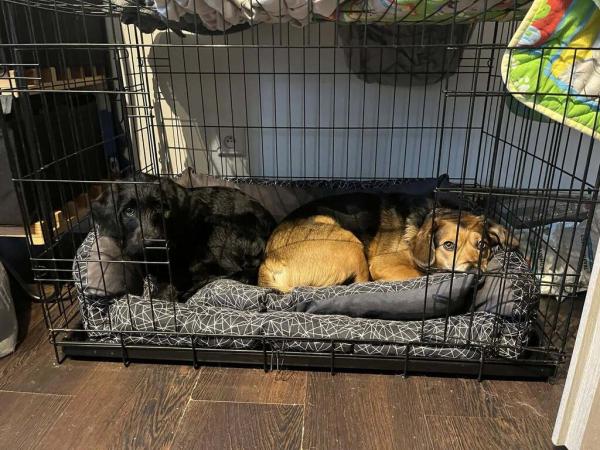 4875067427042684952664287042407613449297773n