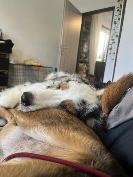 4880468647045263952406386491621087675598266n