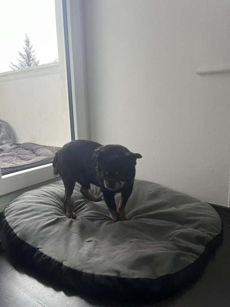 4881862307045630819036368106468096538198504n