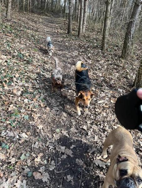 4884677807048039752128806122391914617932944n