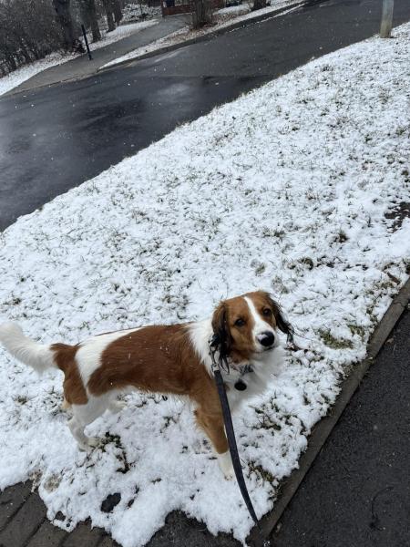 4885834737045627319036714472236448025636240n