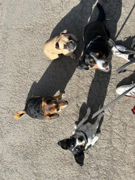 489624879714240867602524624486350866870616n