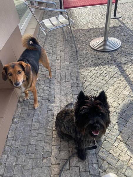 4897922567099406380325472726588141715789729n