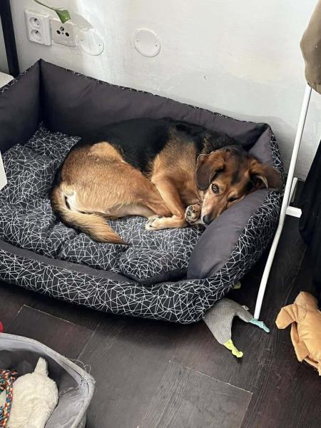 4898517687112460079020108768081360281845206n