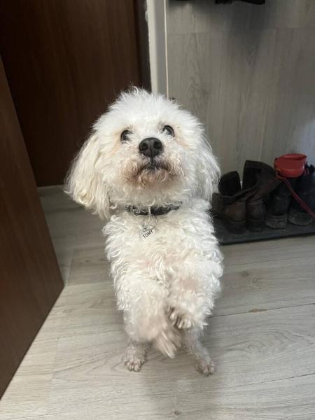 4901724047130178243914951737611552600531681n