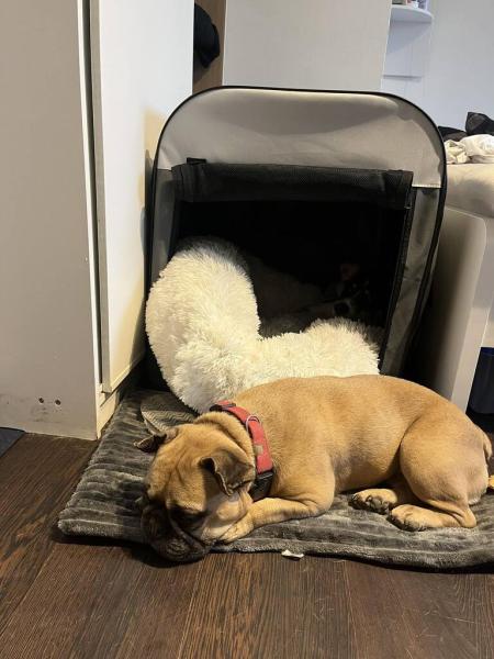 4903421427145760109023438329886168901072491n