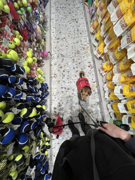 4919979067185443171721796046944719867338116n