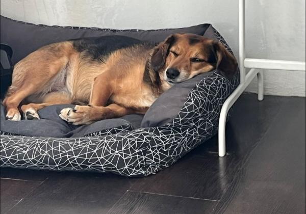 500120081744360637923880575058664906407453n