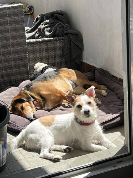 5010021207477194975879948194374001692926628n