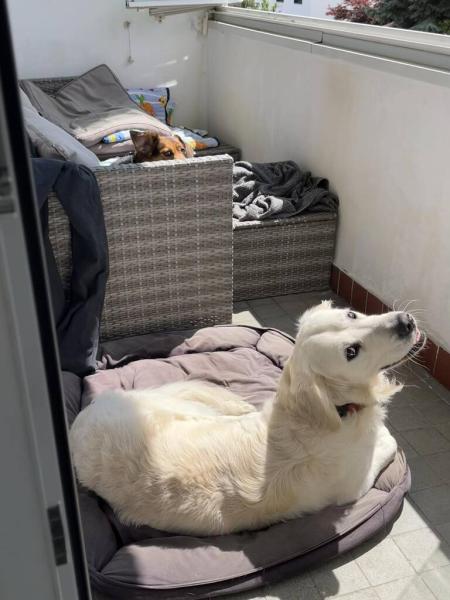 5183167457852322838367156723839635469797786n