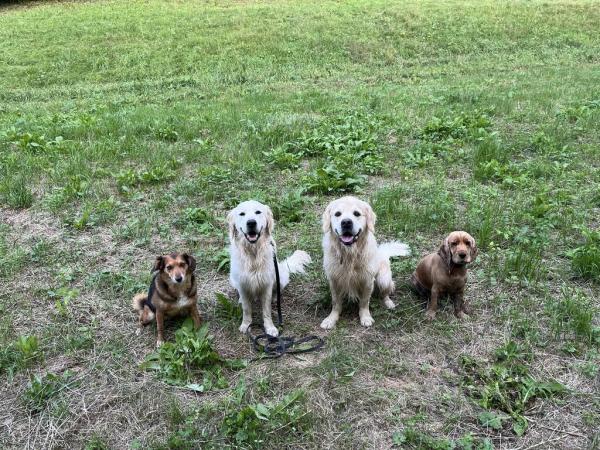 5187277887874582369474532613383440674199587n