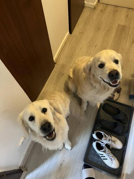 520445221786663947026882904349671897457897n