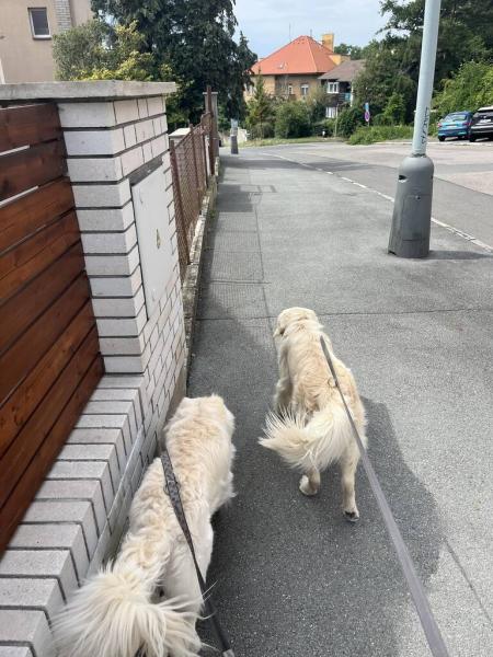 5232244037913218065610967250836538412459272n