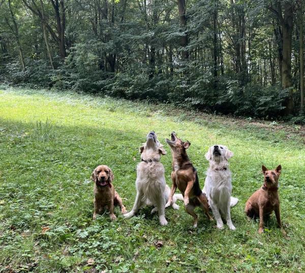 524097535792792756414001842215677353169413n