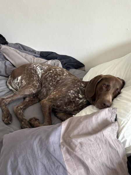 5282202918016005321998906698009863468520290n