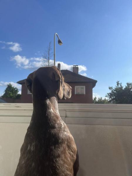 5285487308002283190037788533895137685224434n