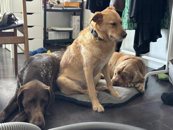 5286974658022698421329597739312024254241531n