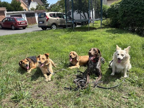 5287954568015442288721878815516156755501787n