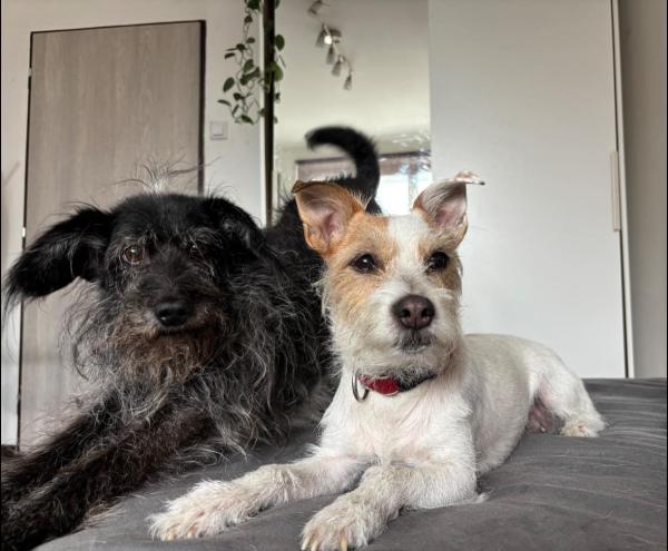 5293616698030587620540677787938206144241008n