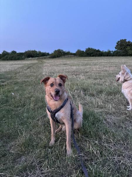 5297881108010756989190408944240129045430763n