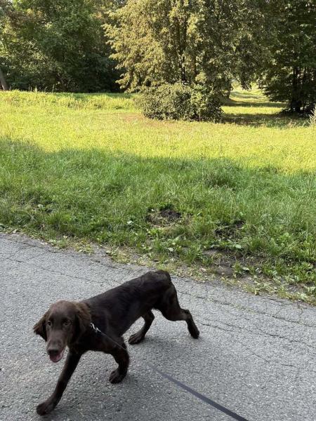 532336788807440161615927276442971837391020n