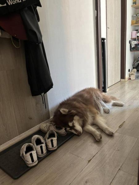 5332613698072075983058501065170555346451779n