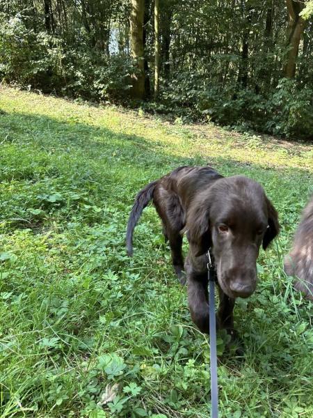 5337109658074401349492636015201769837143670n