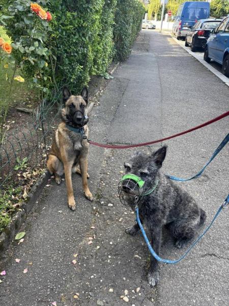 5406843478216198968646204837636924681825183n