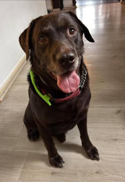 5409571068219440668322031098196727127612916n