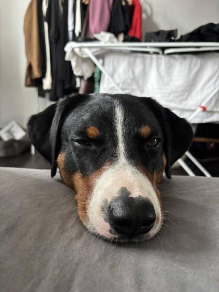 5427624858242211866044911184172733705024203n