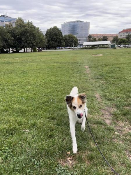 5433912978242224566043648708521640631967090n